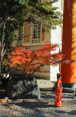 ⛩️ 샤쿠지이 히카와 신사(샤쿠지이히카와진자) 이미지 2